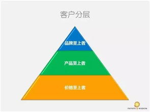 從黃楊之性看初創企業營銷戰略設計要點